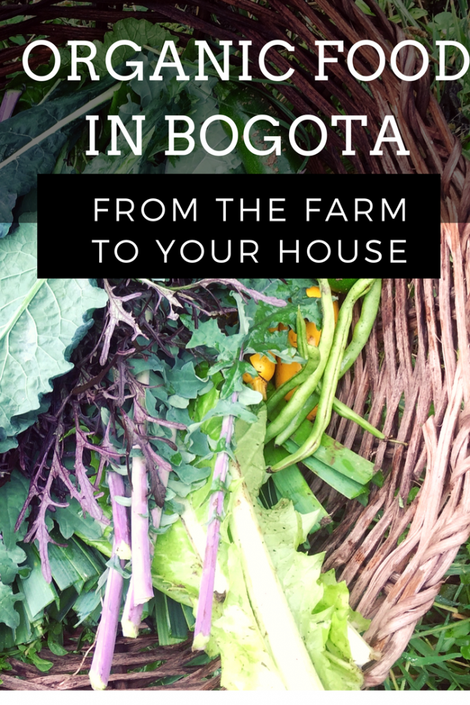 organic food in bogota