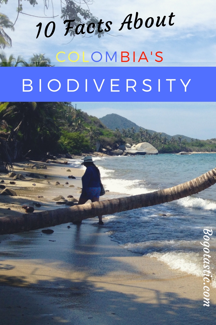 10 Facts About Colombia's Biodiversity To Give You Yet Another Reason To Visit