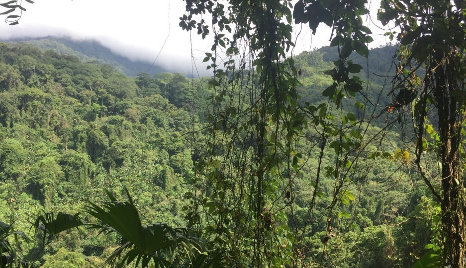 ciudad perdida biodiversity Colombia